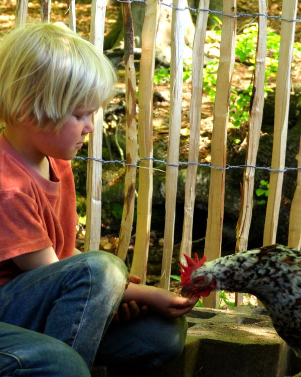Kind mit Huhn – B.U.N.T.